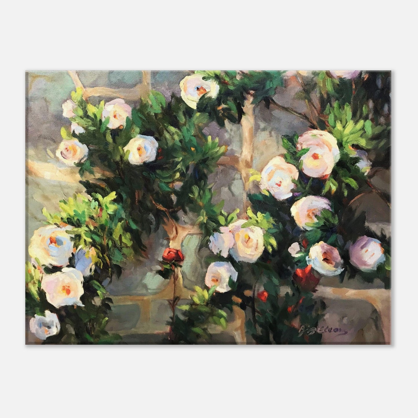 'Vining White Roses' Floral I 12x16 inch Art Print on Canvas I Original Artwork by American Artist Barbara Cleary