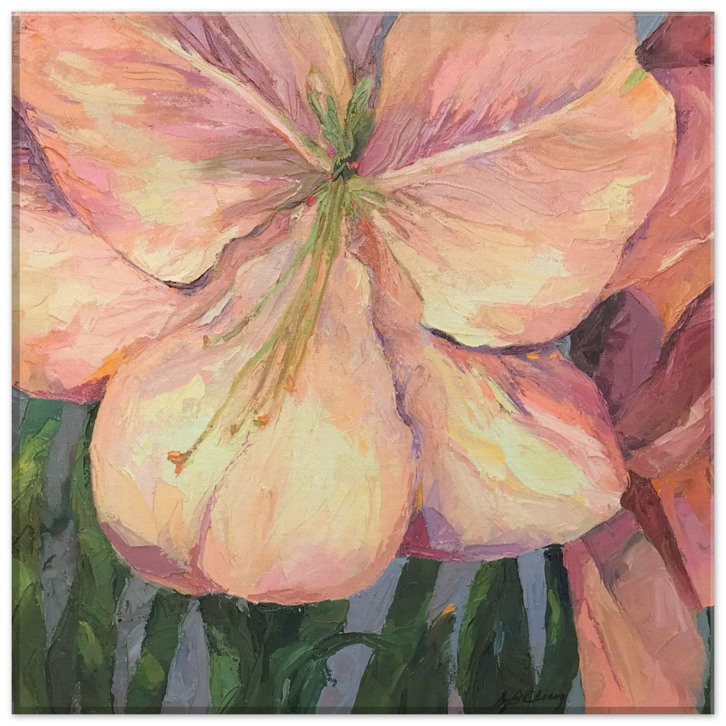 'Pink Amaryllis ' Floral I 12x12 inch Art Print on Canvas I Original Artwork by American Artist Barbara Cleary