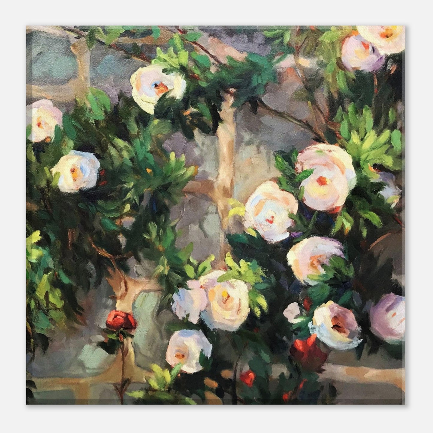 'Vining White Roses' Floral I 8x8 inch Art Print on Canvas I Original Artwork by American Artist Barbara Cleary