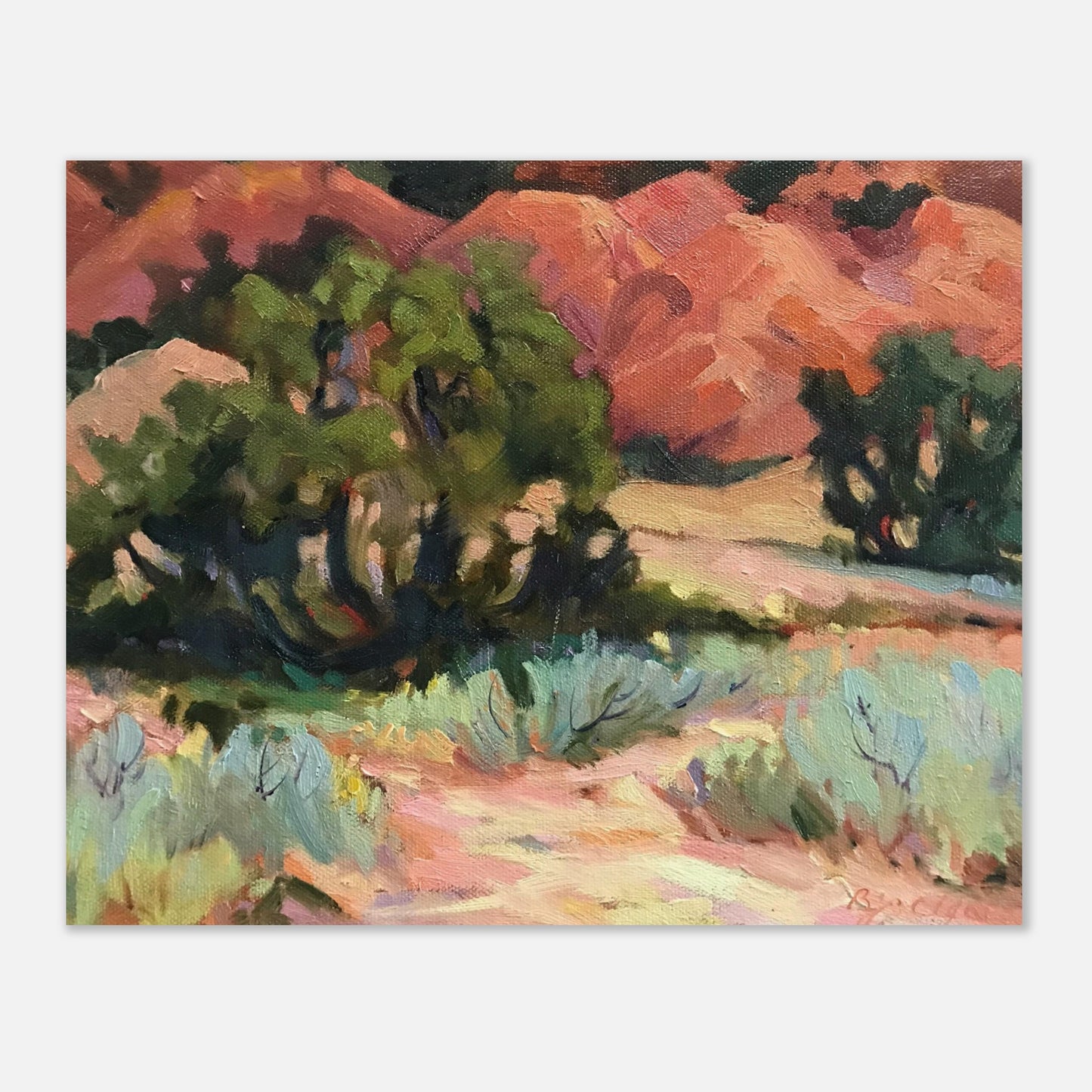 "Mesa at Ghost Ranch" 16x20 Museum-Quality Matte Paper Poster by Barbara Cleary Designs