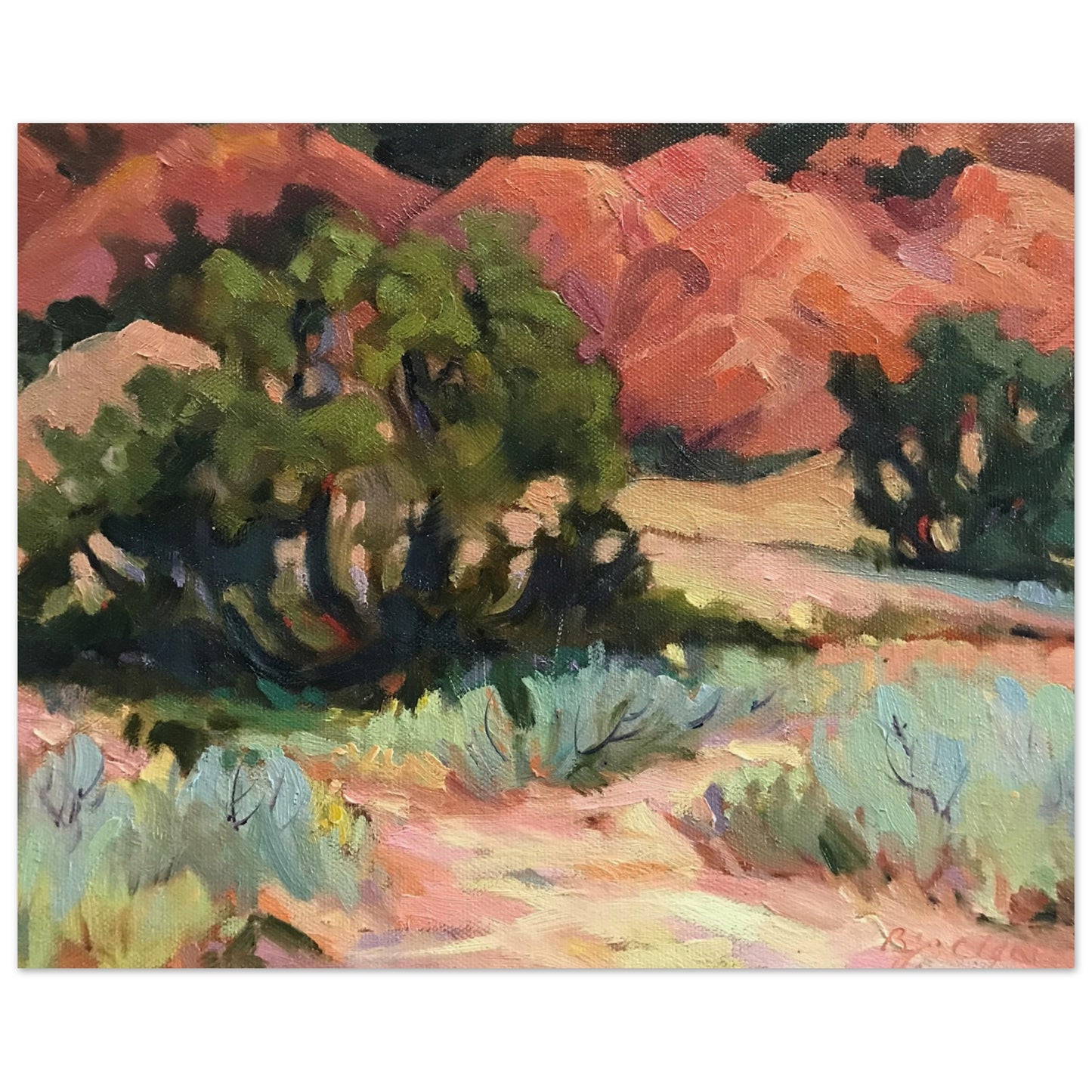 "Mesa at Ghost Ranch" 16x20 Museum-Quality Matte Paper Poster by Barbara Cleary Designs
