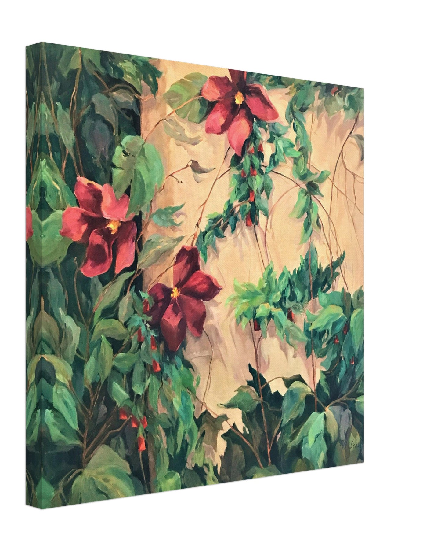 "Climatis Vine" 16x16 inch Print on Canvas by Barbara Cleary Designs