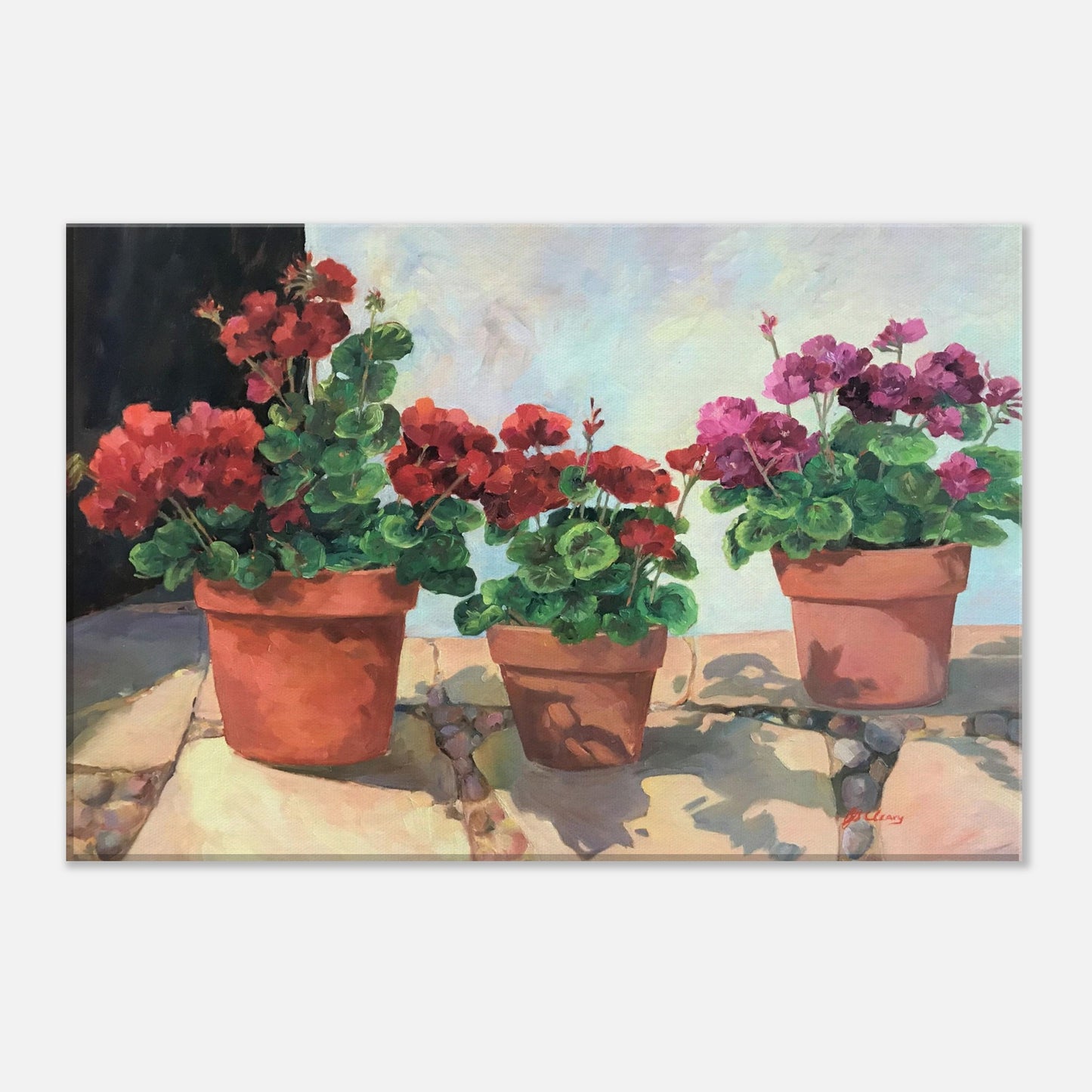 'Potted Red Geraniums Series 1' Floral I 12x18 inch Art Print on Canvas I Original Artwork by American Artist Barbara Cleary