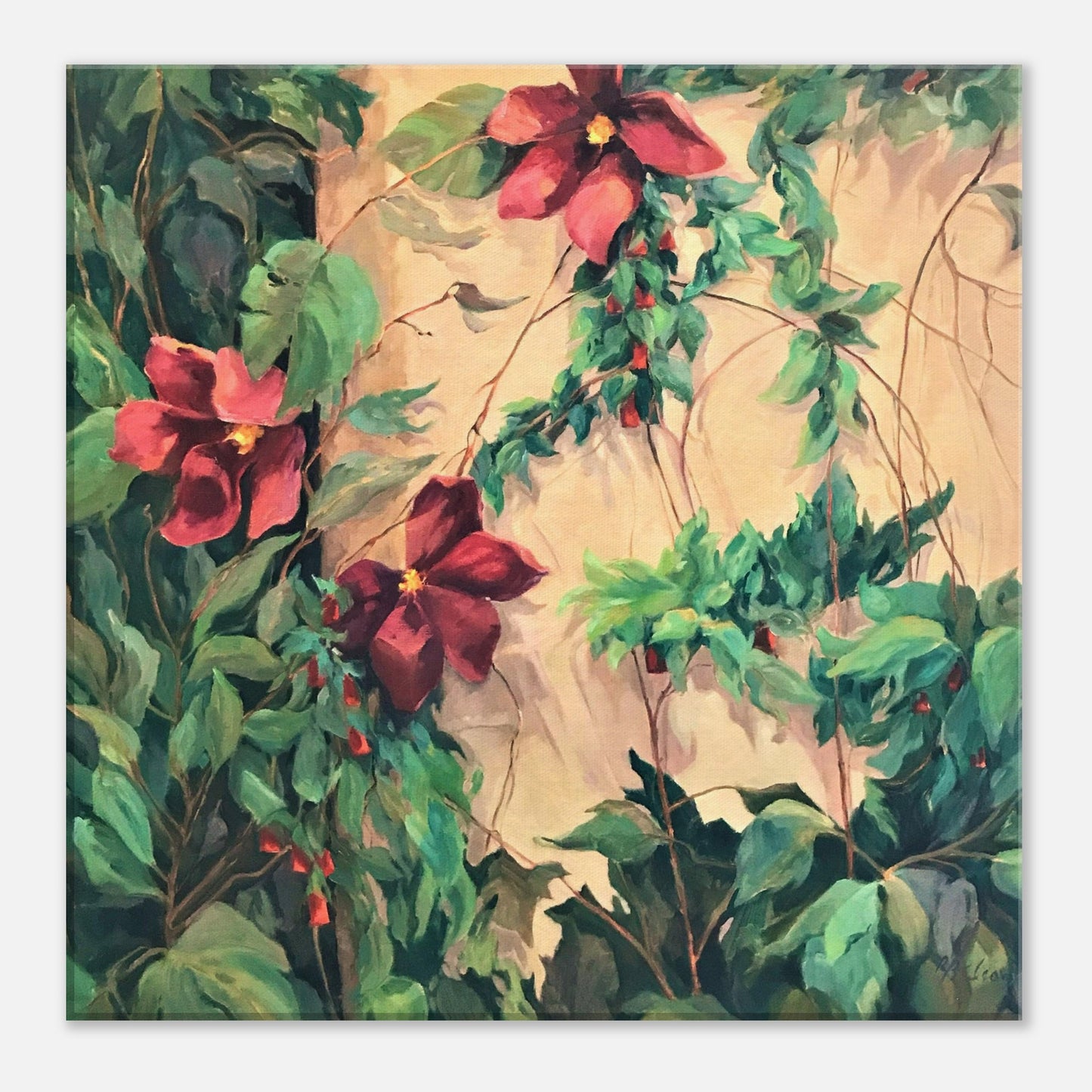 "Climatis Vine" 16x16 inch Print on Canvas by Barbara Cleary Designs