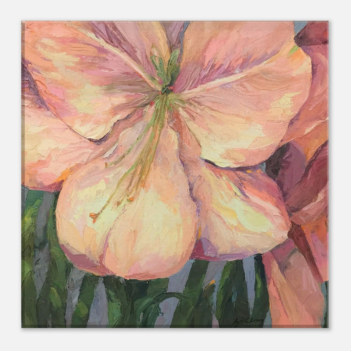 'Pink Amaryllis ' Floral I 12x12 inch Art Print on Canvas I Original Artwork by American Artist Barbara Cleary