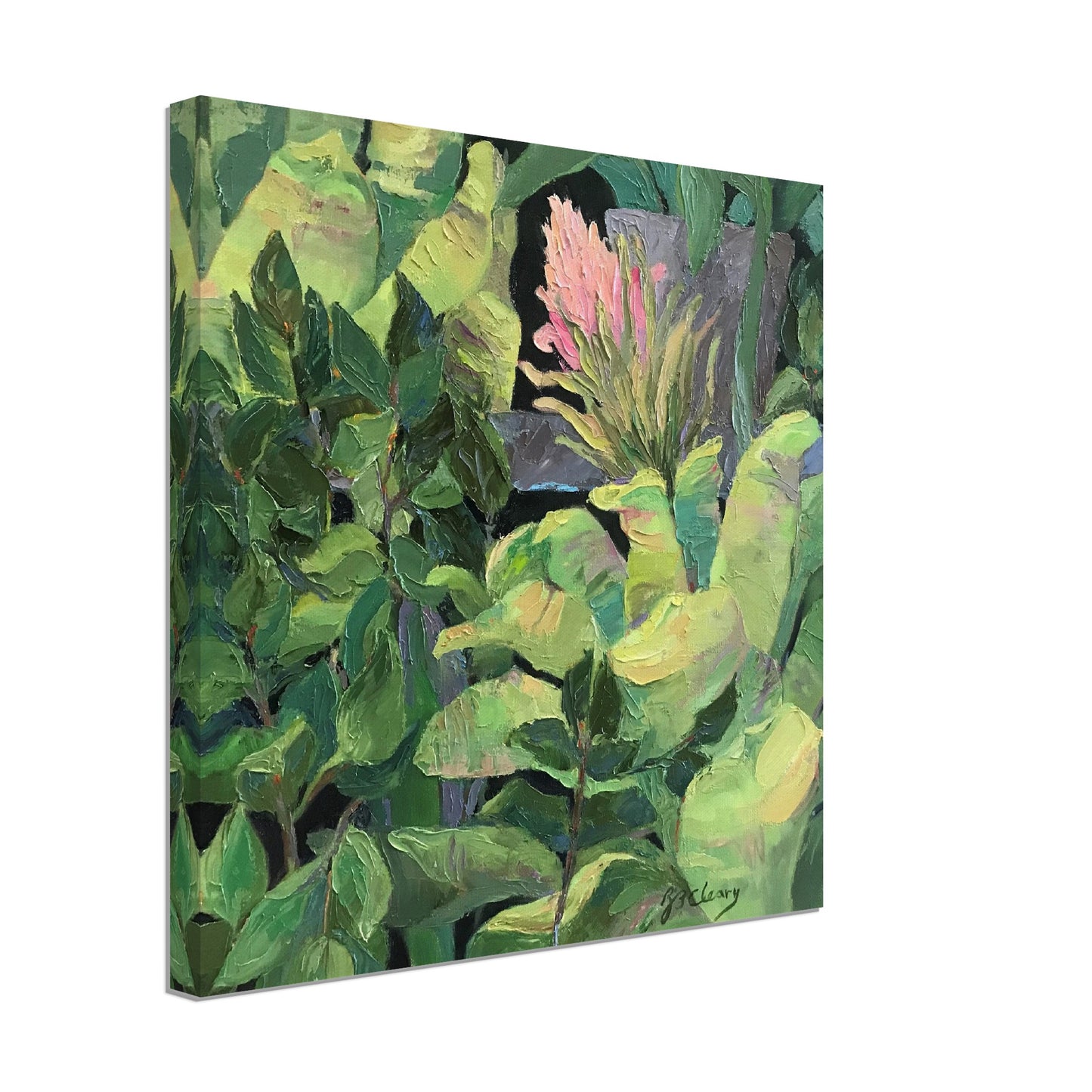 'Bromeliads' Pink and Green Floral I 16x16 inch Art Print on Canvas I Original Artwork by American Artist Barbara Cleary