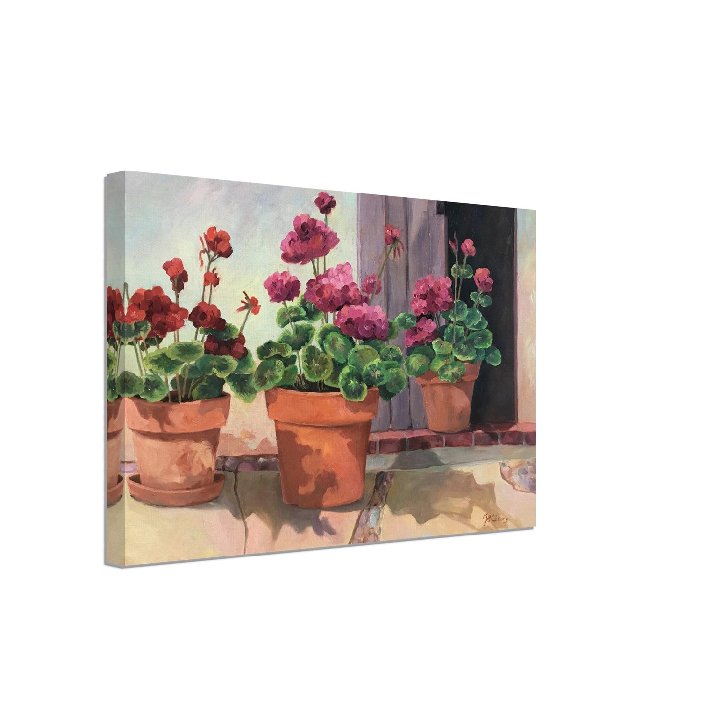 'Potted Red Geraniums 2' Floral I 12x18 inch Art Print on Canvas I Original Artwork by American Artist Barbara Cleary I F23