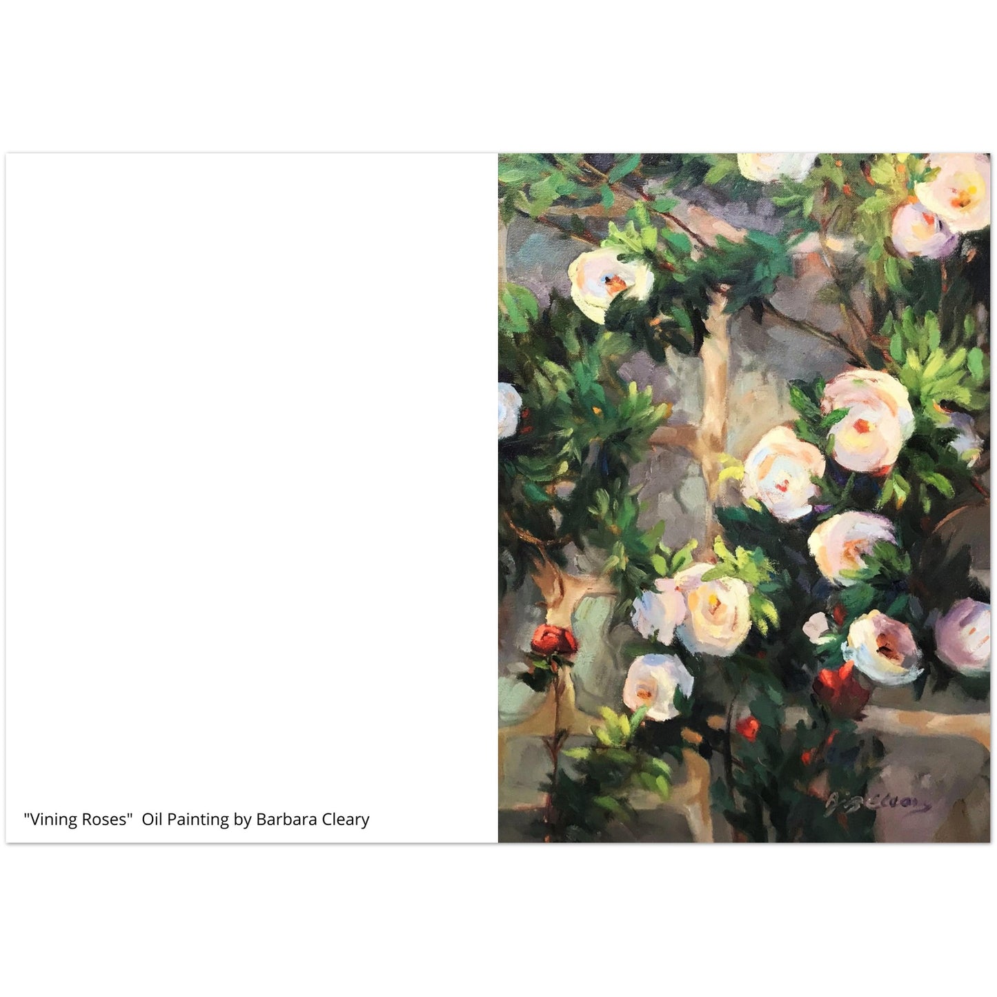 "Vining Roses" Pack of 10 Greeting Cards (standard envelopes) (US & CA) by Barbara Cleary Designs