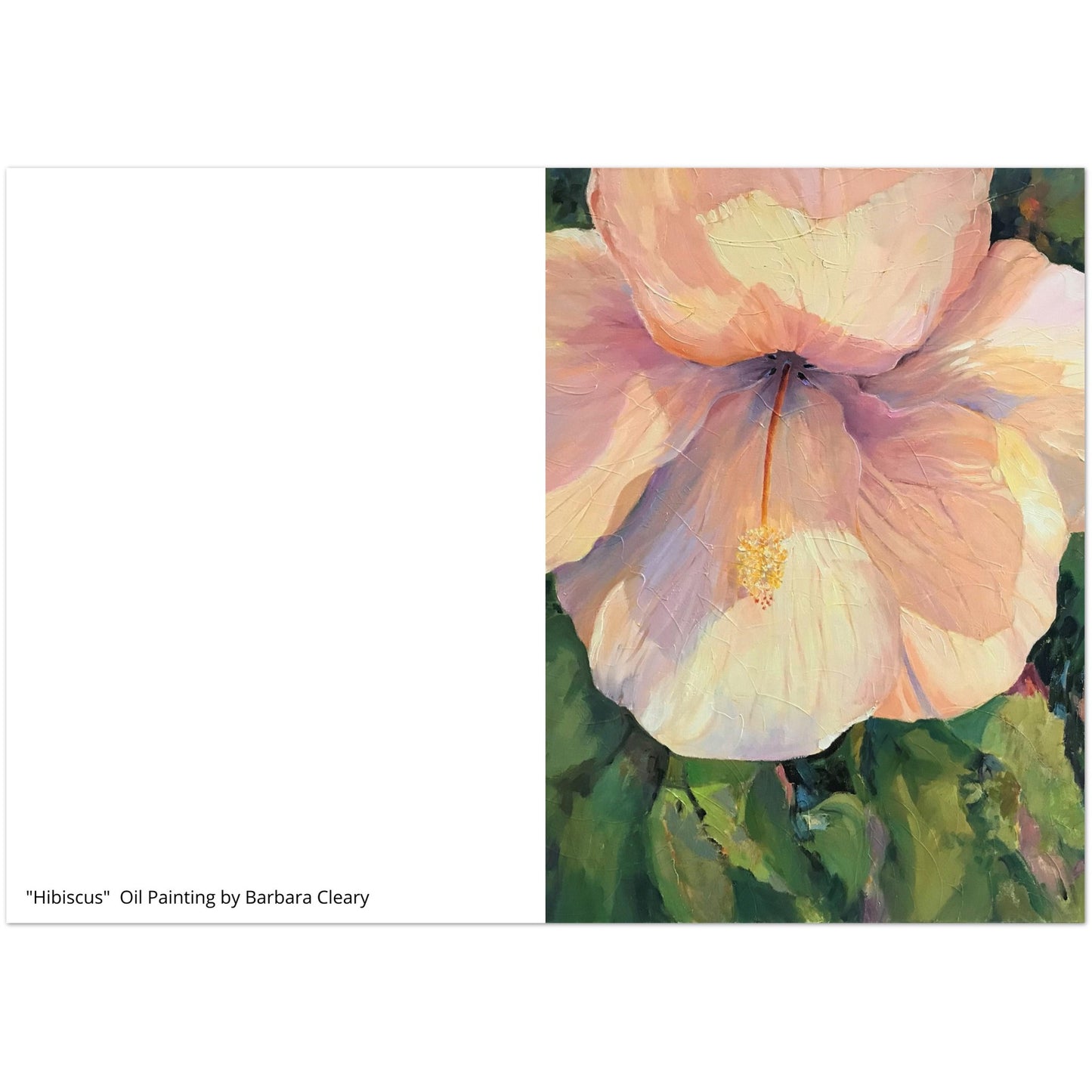 "Hibiscus" Pack of 10 Greeting Cards (standard envelopes) (US & CA) by Barbara Cleary Designs