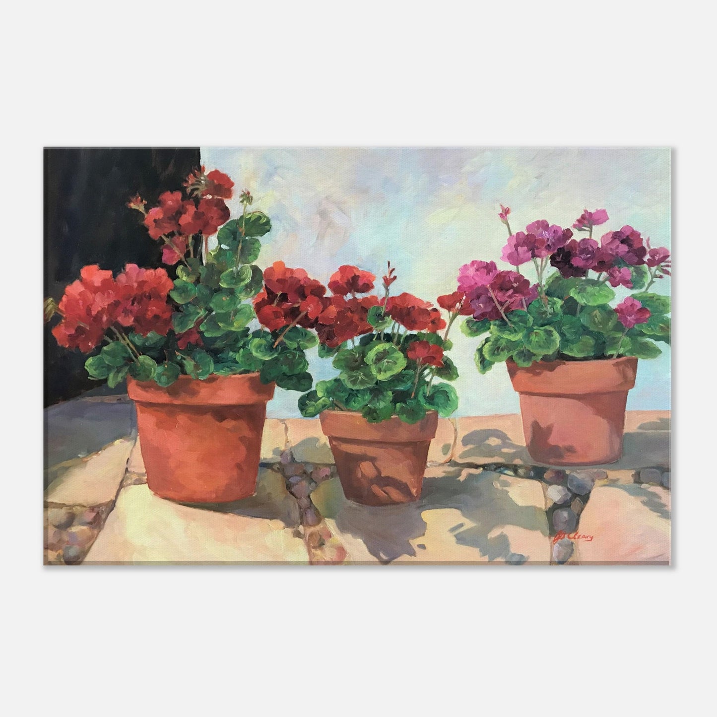 Geraniums Series 1 Floral Print 12x18 inch on Canvas