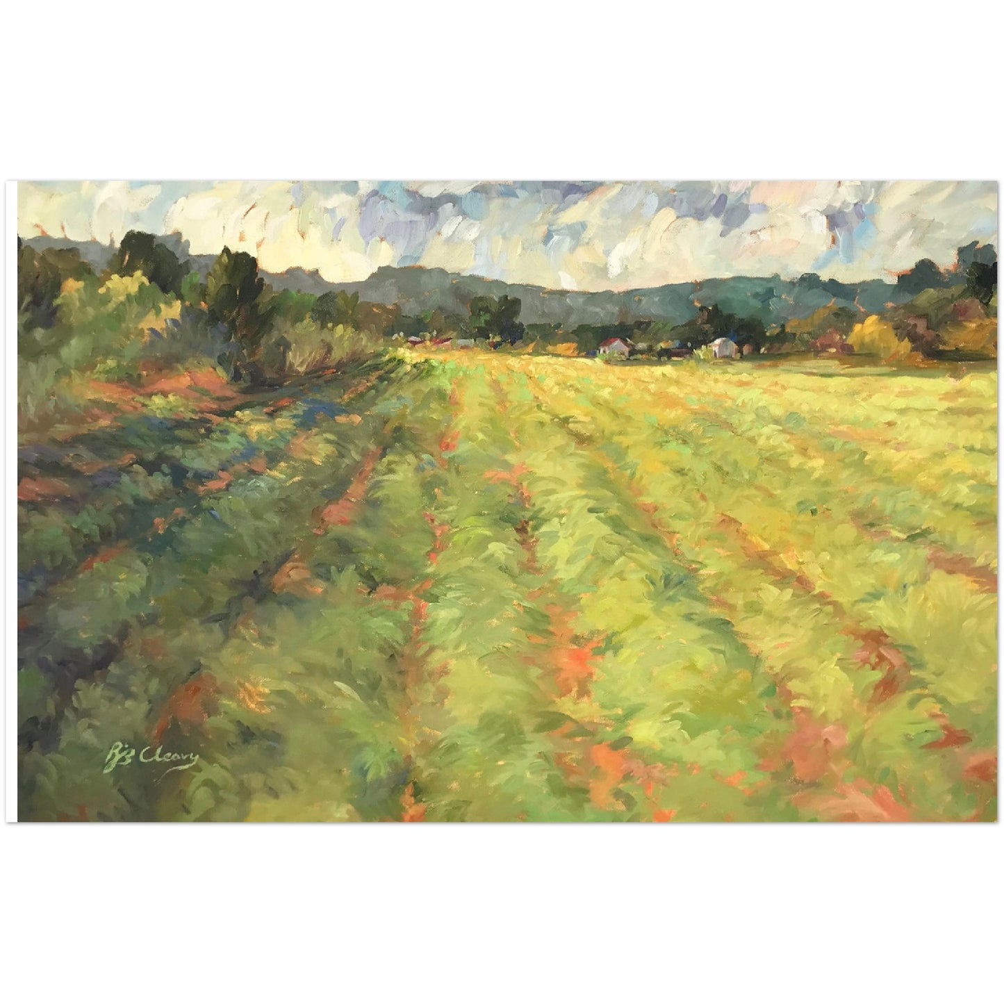 "Harvest" Landscape Pack of 10 postcards (2-sided, No envelopes, US & CA) by Barbara Cleary Designs