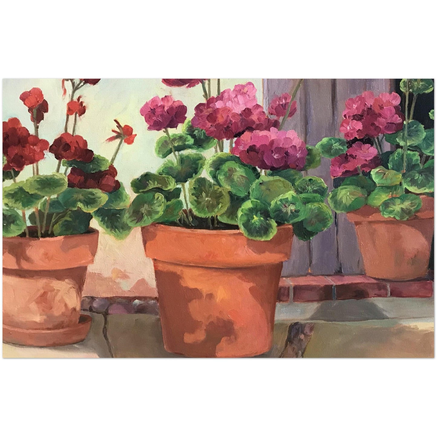 Pack of 10 postcards "Geraniums 2" (2-sided, No envelopes, US & CA) by Barbara Cleary Designs