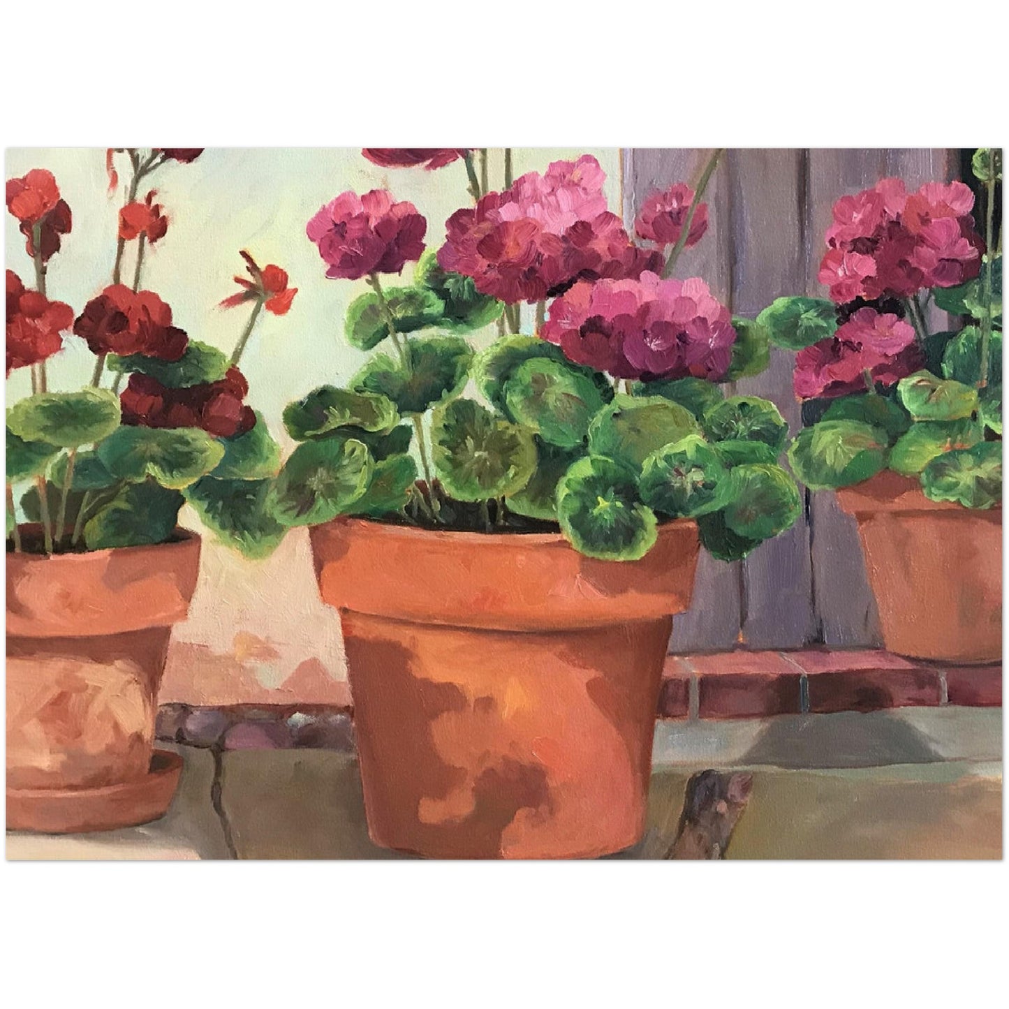Pack of 10 postcards "Geraniums 2" (2-sided, No envelopes, US & CA) by Barbara Cleary Designs