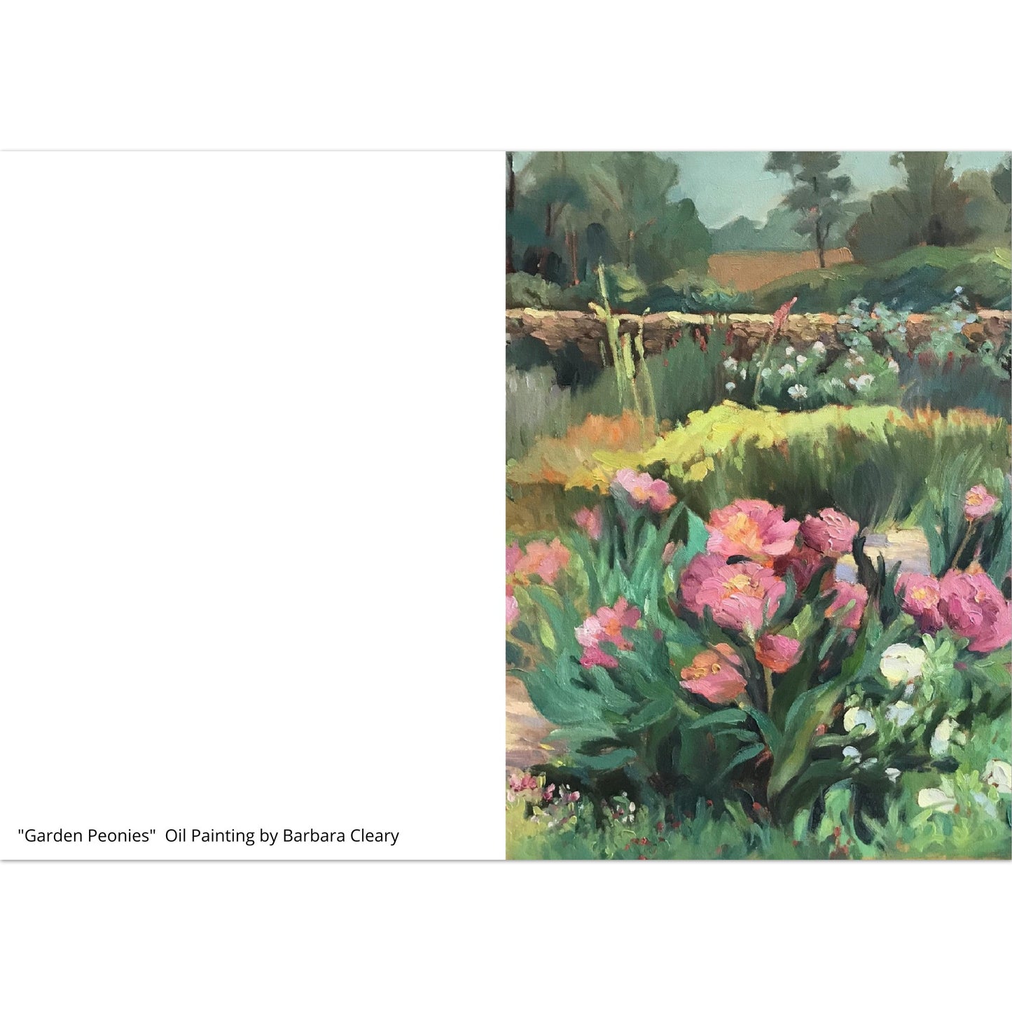 "Garden Peonies" Pack of 10 Greeting Cards (standard envelopes) (US & CA) by Barbara Cleary Designs